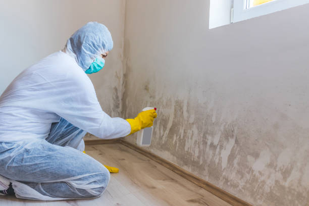 Mold Remediation specialist working in Pomeroy